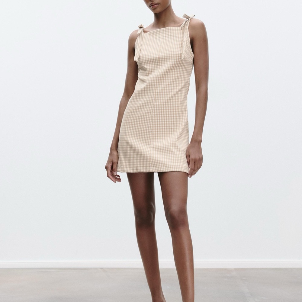 Zara Beige Checkered Mini Dress